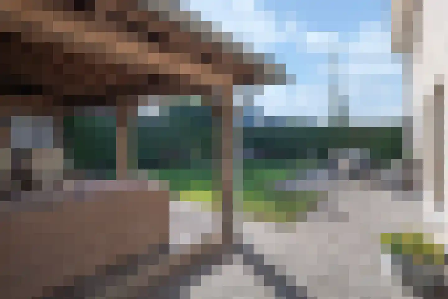 Korenbloemlaan 16 Hoeven thumbnail 23