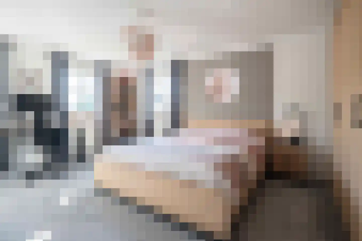 Korenbloemlaan 16 Hoeven thumbnail 25