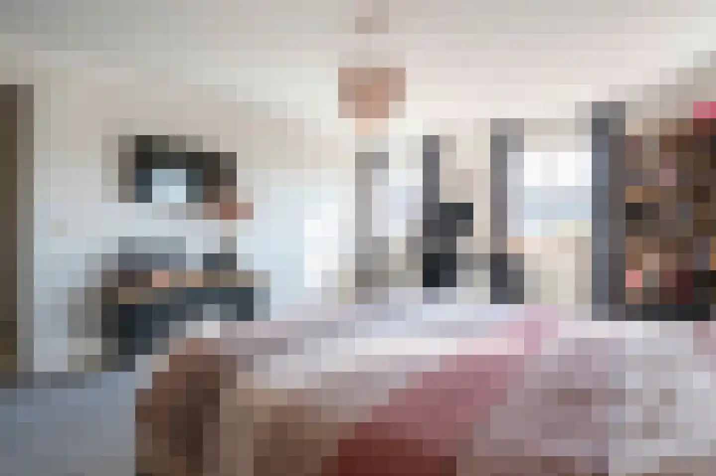 Korenbloemlaan 16 Hoeven thumbnail 27