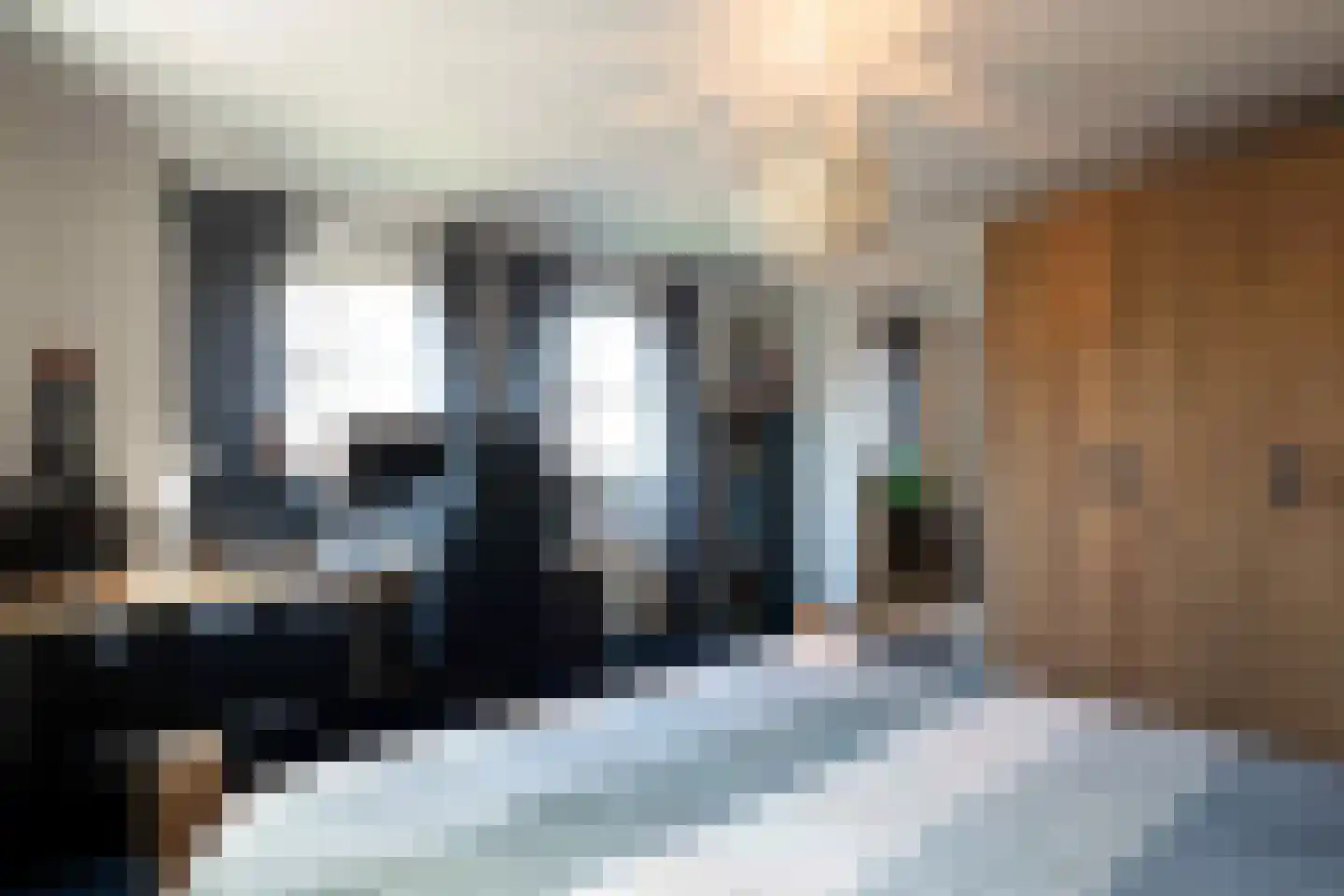 Korenbloemlaan 16 Hoeven thumbnail 29