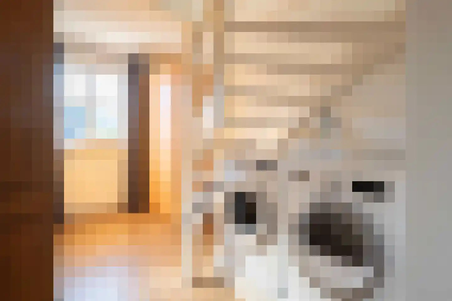 Korenbloemlaan 16 Hoeven thumbnail 36