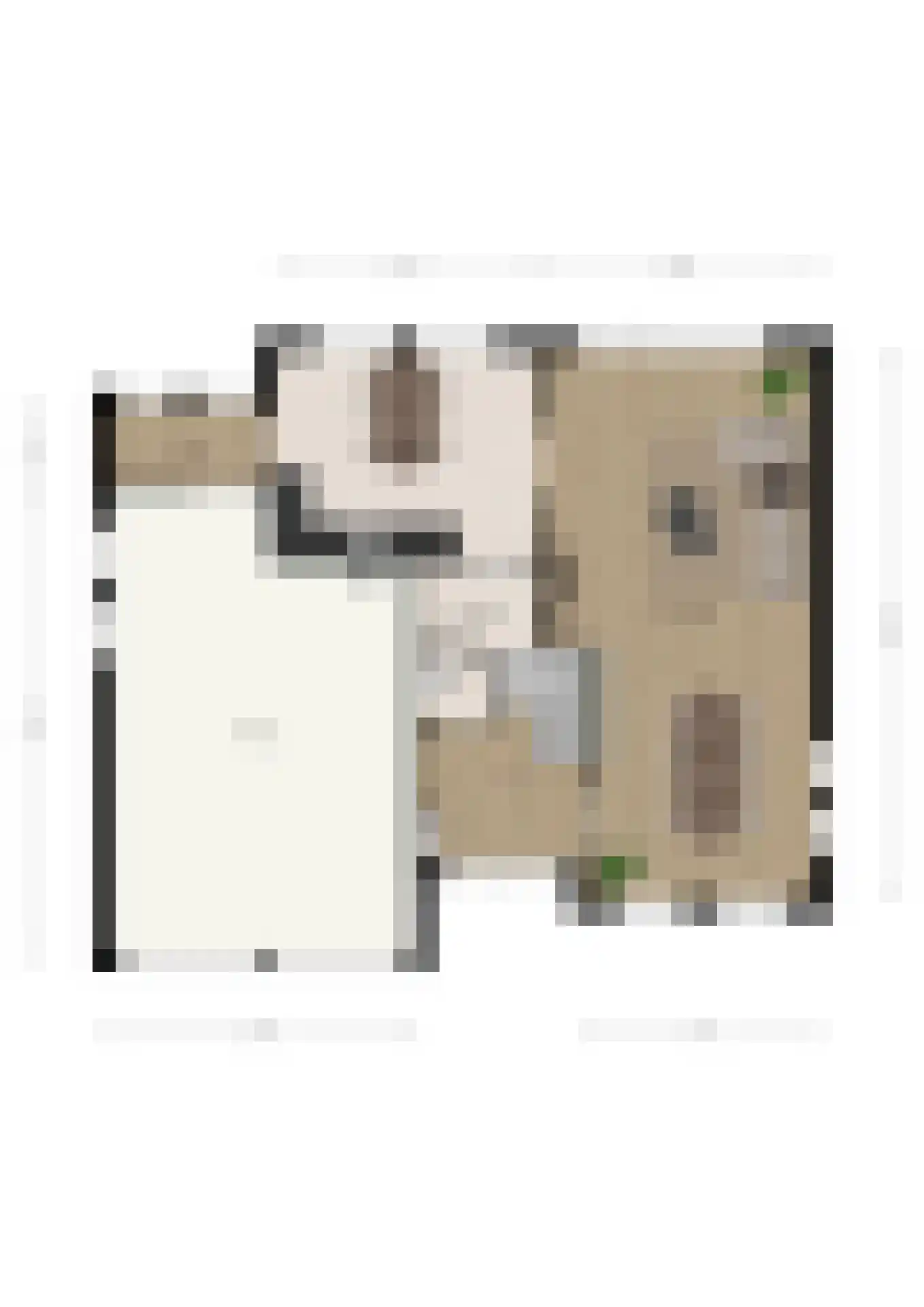 Korenbloemlaan 16 Hoeven thumbnail 40