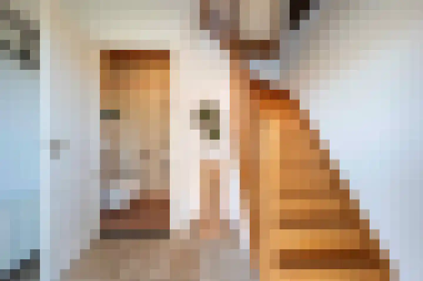 Korenbloemlaan 16 Hoeven thumbnail 9