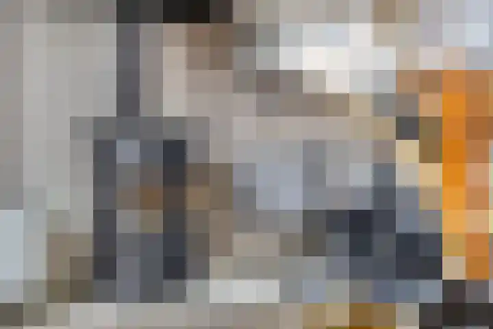 Korenbloemlaan 18 Arnemuiden thumbnail 11
