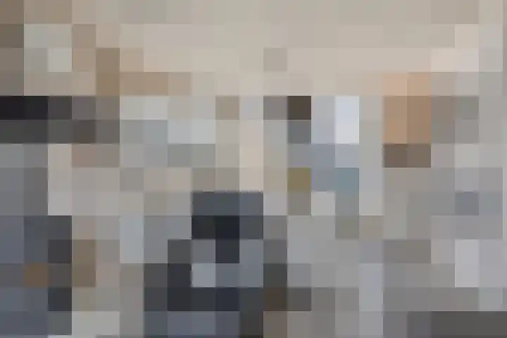 Korenbloemlaan 18 Arnemuiden thumbnail 12