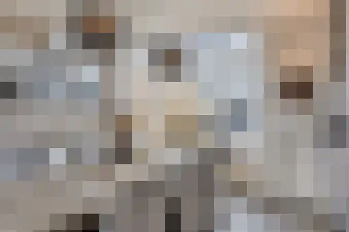 Korenbloemlaan 18 Arnemuiden thumbnail 13
