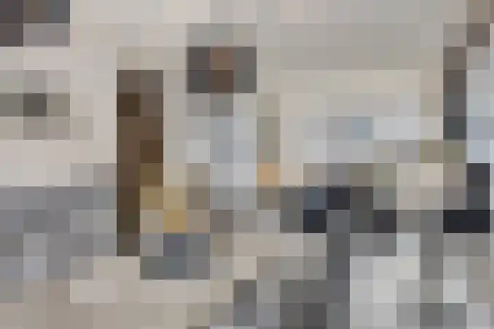 Korenbloemlaan 18 Arnemuiden thumbnail 14