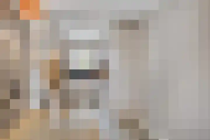 Korenbloemlaan 18 Arnemuiden thumbnail 17