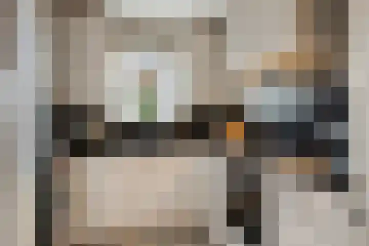 Korenbloemlaan 18 Arnemuiden thumbnail 18