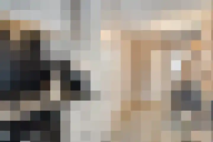 Korenbloemlaan 18 Arnemuiden thumbnail 19