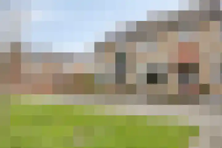 Korenbloemlaan 18 Arnemuiden foto 2