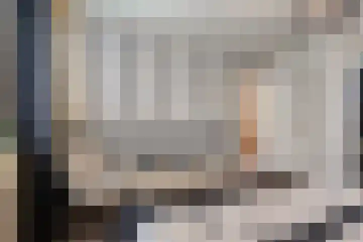 Korenbloemlaan 18 Arnemuiden thumbnail 24