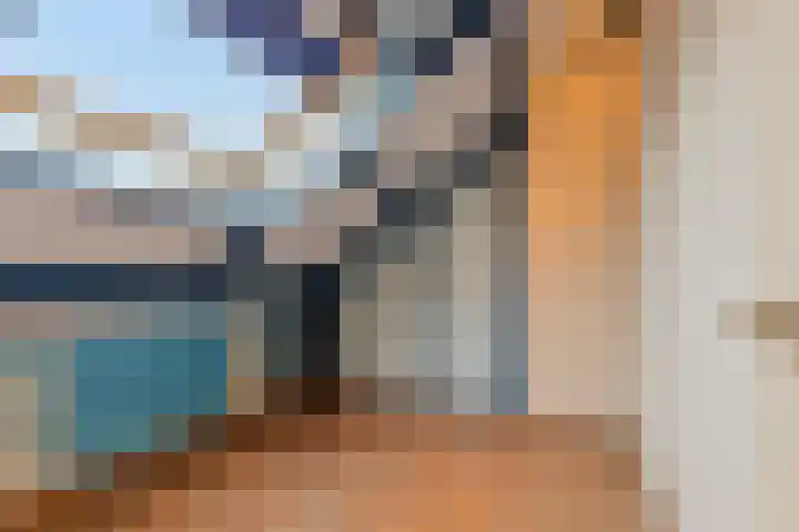 Korenbloemlaan 18 Arnemuiden thumbnail 30