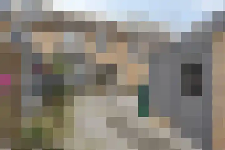 Korenbloemlaan 18 Arnemuiden thumbnail 32