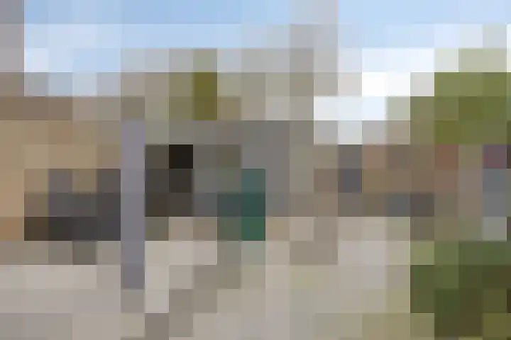 Korenbloemlaan 18 Arnemuiden thumbnail 34