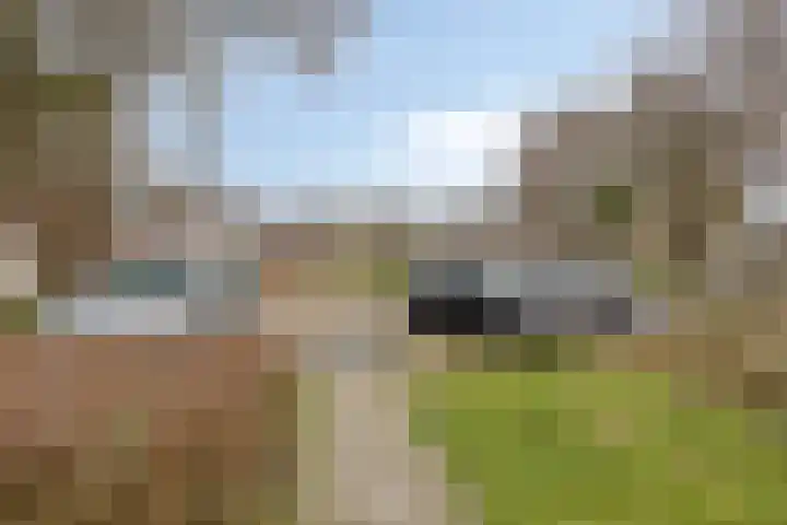 Korenbloemlaan 18 Arnemuiden thumbnail 35