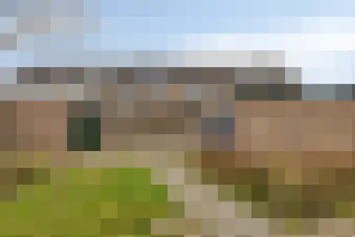 Korenbloemlaan 18 Arnemuiden thumbnail 36