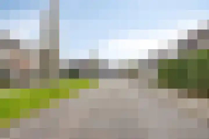Korenbloemlaan 18 Arnemuiden thumbnail 37
