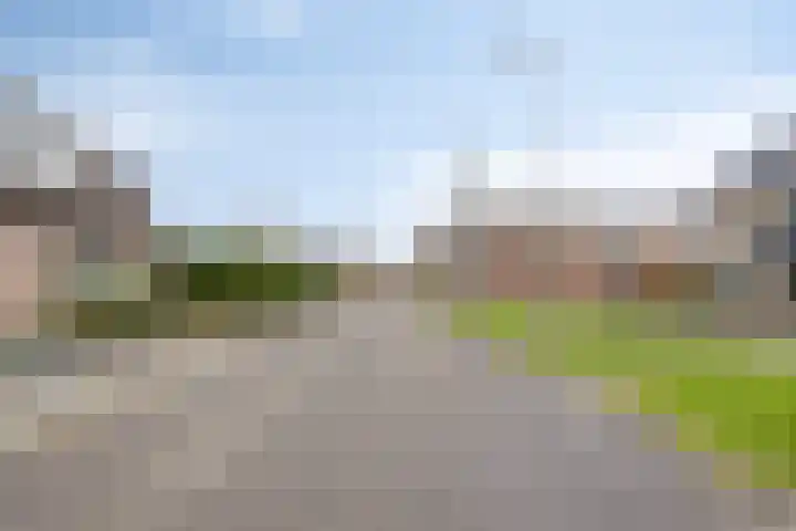 Korenbloemlaan 18 Arnemuiden thumbnail 38