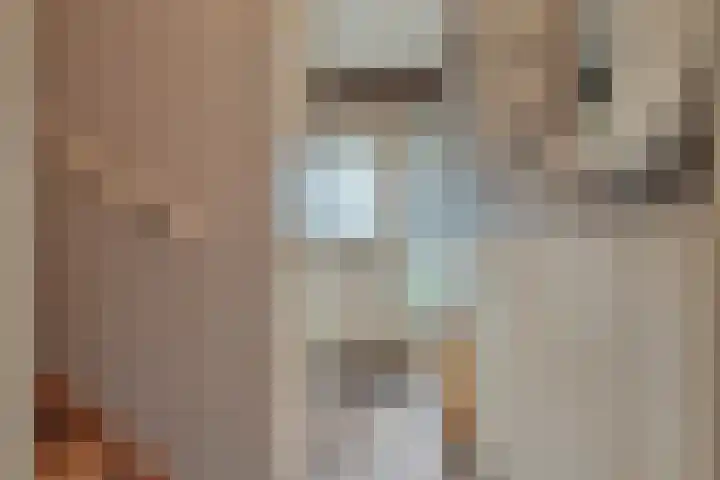 Korenbloemlaan 18 Arnemuiden thumbnail 4