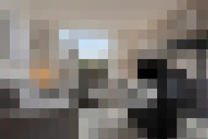 Korenbloemlaan 18 Arnemuiden thumbnail 6