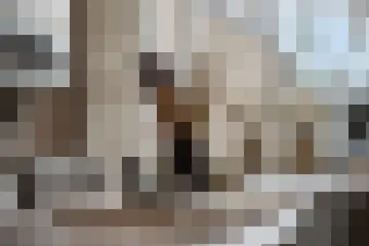 Korenbloemlaan 18 Arnemuiden thumbnail 9