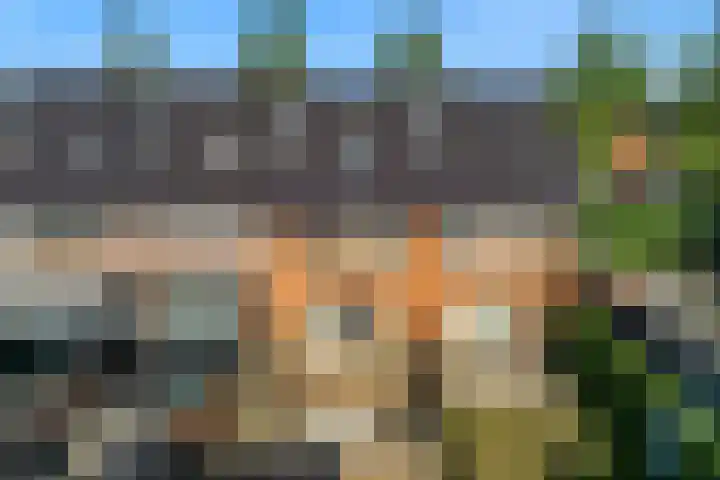 Korenbloemlaan 21 Amstelveen thumbnail 35