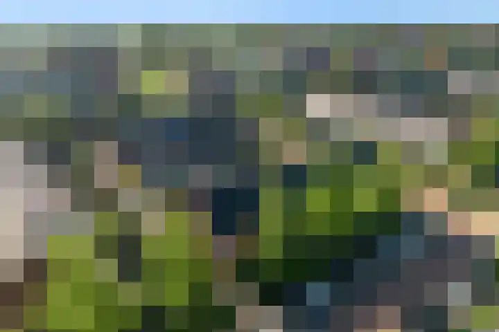Korenbloemlaan 21 Amstelveen thumbnail 36
