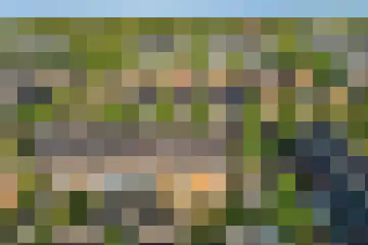 Korenbloemlaan 21 Amstelveen thumbnail 37