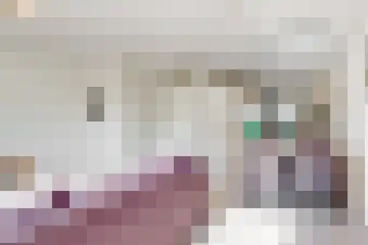 Korenbloemlaan 21 Amstelveen thumbnail 7