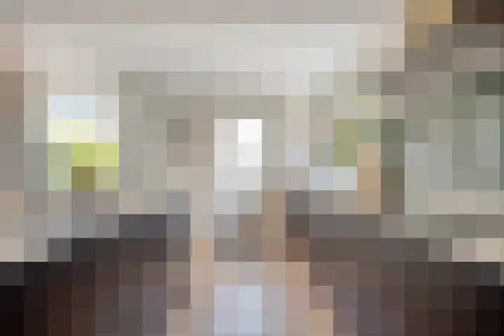 Korenbloemlaan 22 Arnemuiden thumbnail 10