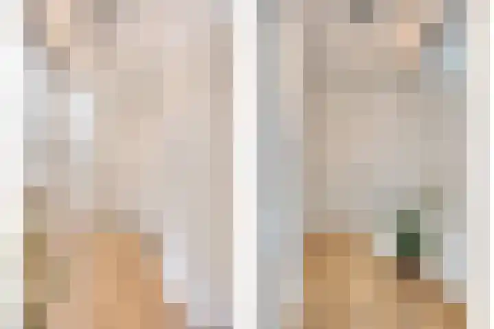 Korenbloemlaan 22 Arnemuiden thumbnail 11