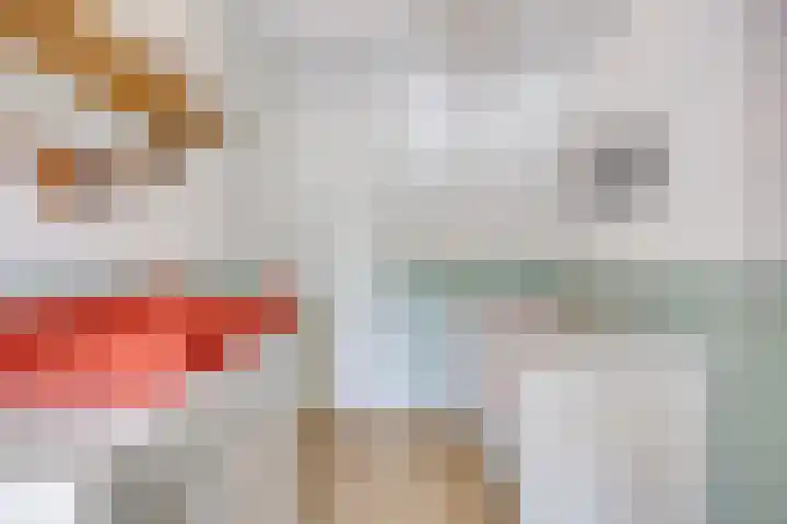 Korenbloemlaan 22 Arnemuiden thumbnail 15