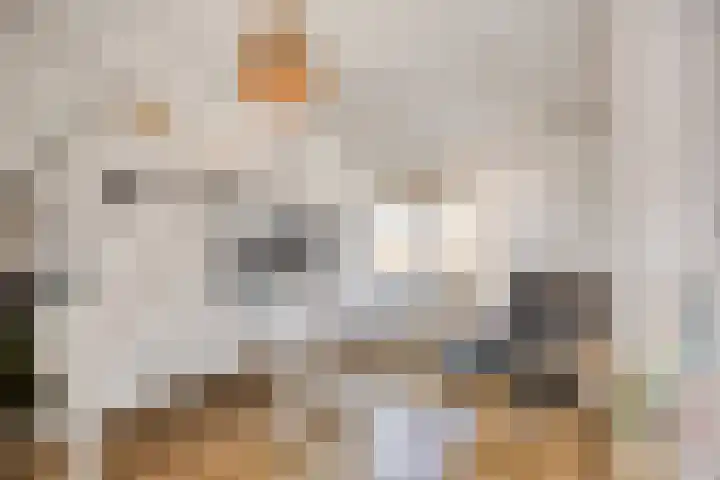 Korenbloemlaan 22 Arnemuiden thumbnail 16