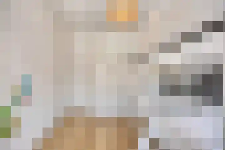 Korenbloemlaan 22 Arnemuiden thumbnail 17