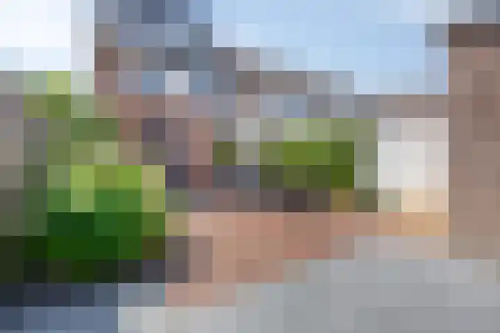 Korenbloemlaan 22 Arnemuiden thumbnail 23