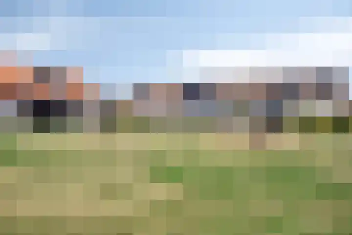 Korenbloemlaan 22 Arnemuiden thumbnail 26