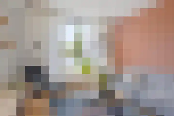 Korenbloemlaan 22 Arnemuiden thumbnail 5