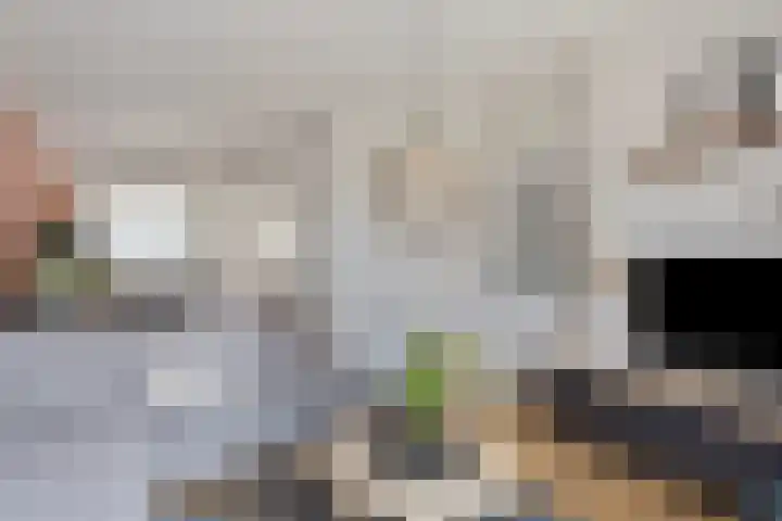 Korenbloemlaan 22 Arnemuiden thumbnail 6