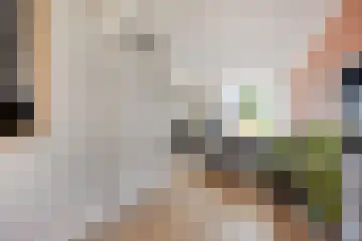 Korenbloemlaan 22 Arnemuiden thumbnail 7