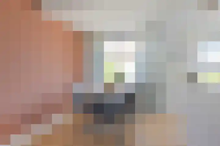 Korenbloemlaan 22 Arnemuiden thumbnail 8