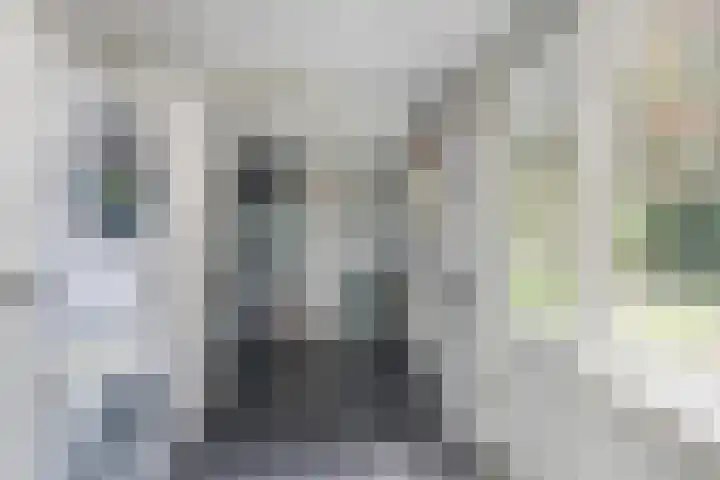 Korenbloemlaan 23 Ede thumbnail 10