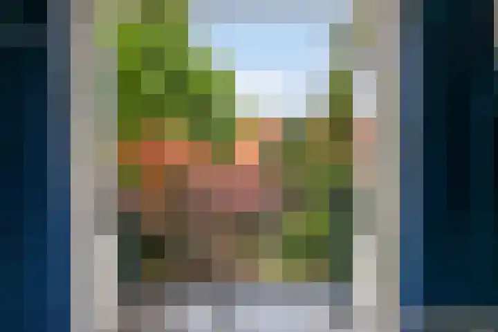 Korenbloemlaan 23 Ede thumbnail 23