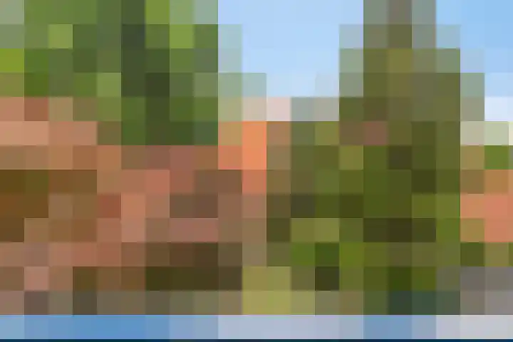 Korenbloemlaan 23 Ede thumbnail 24