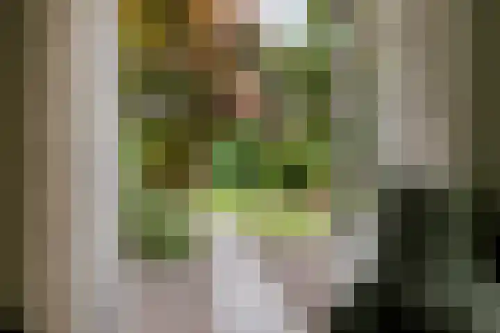 Korenbloemlaan 23 Ede thumbnail 28