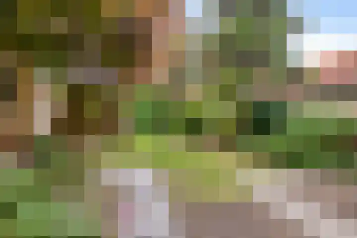 Korenbloemlaan 23 Ede thumbnail 29