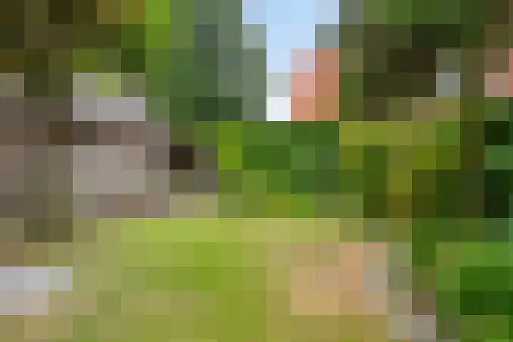Korenbloemlaan 23 Ede thumbnail 30