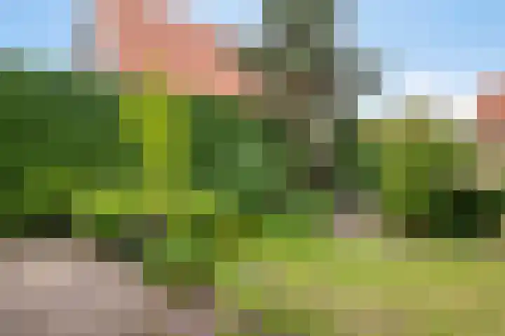 Korenbloemlaan 23 Ede thumbnail 31