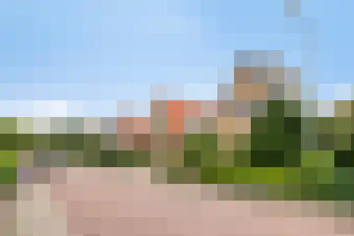 Korenbloemlaan 23 Ede thumbnail 36