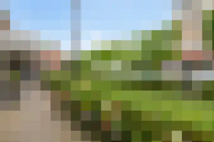 Korenbloemlaan 23 Ede thumbnail 38